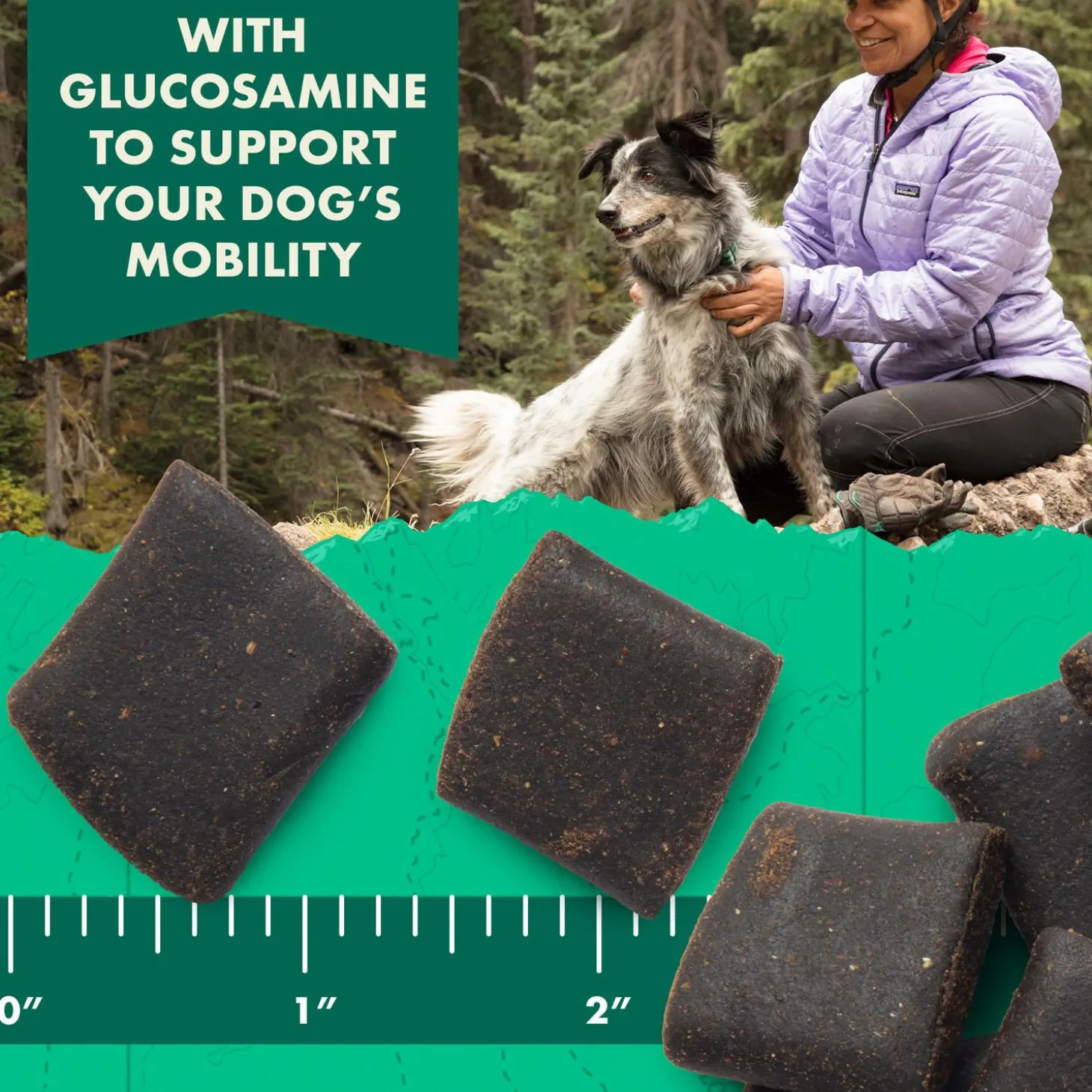 Hip & Joint Peanut Butter & Oats Recipe Dog Treats