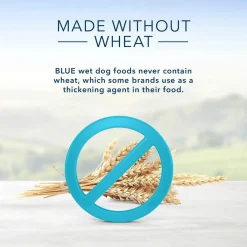 Homestyle Recipe Fish & Sweet Potato with Garden Vegetables Adult Dog Food