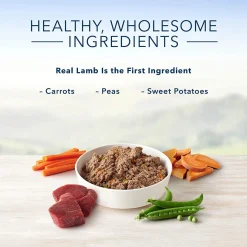 Homestyle Recipe Lamb Dinner with Garden Vegetables Adult Dog Food