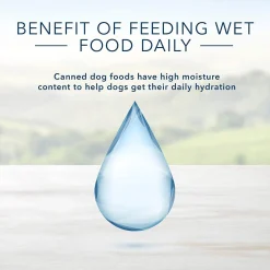 Homestyle Recipe Lamb Dinner with Garden Vegetables Adult Dog Food