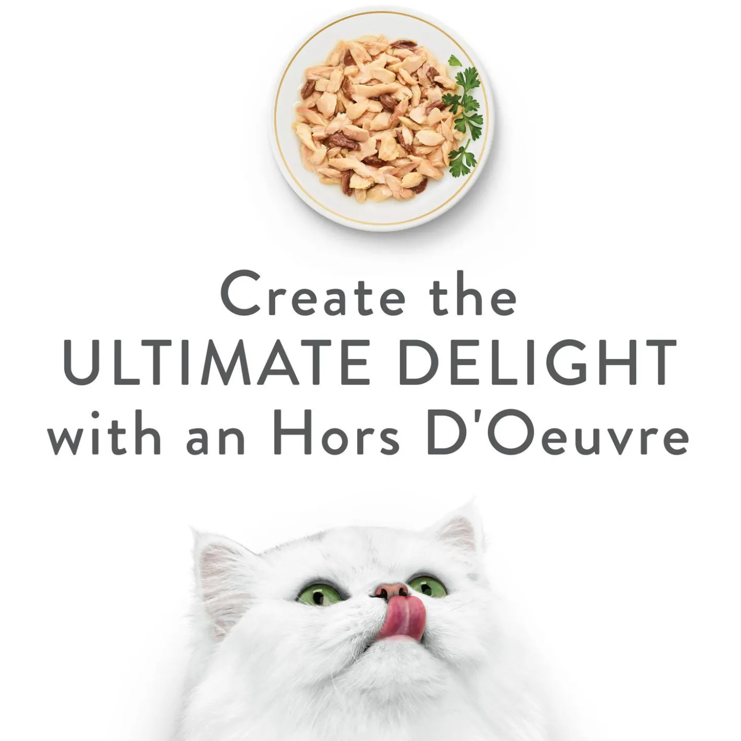 Hors d'Oeuvre Flaked Tuna Appetizer Cat Food Topper