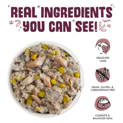 Hot Dayam! with Luscious Lamb Dog Food