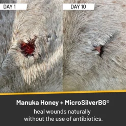 Hot Spot & Wound Care Antimicrobial Ointment