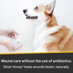 Hot Spot & Wound Care Antimicrobial Ointment