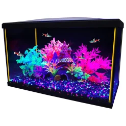 iGlo Aquarium Kit