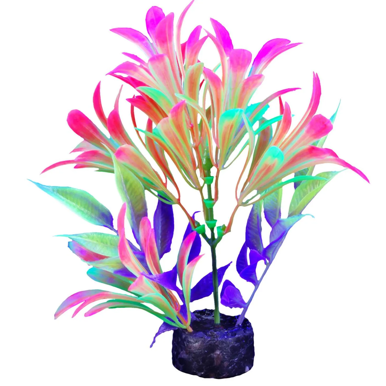 iGlo Fluorescent Plant