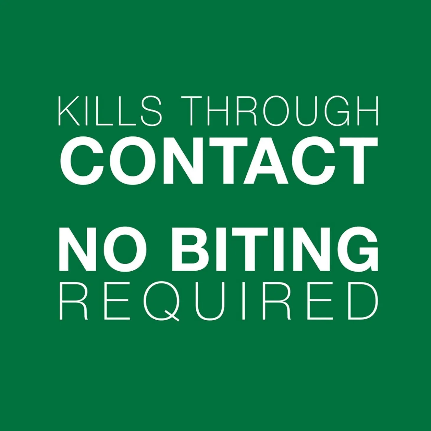 II Topical Kitten Flea Treatment