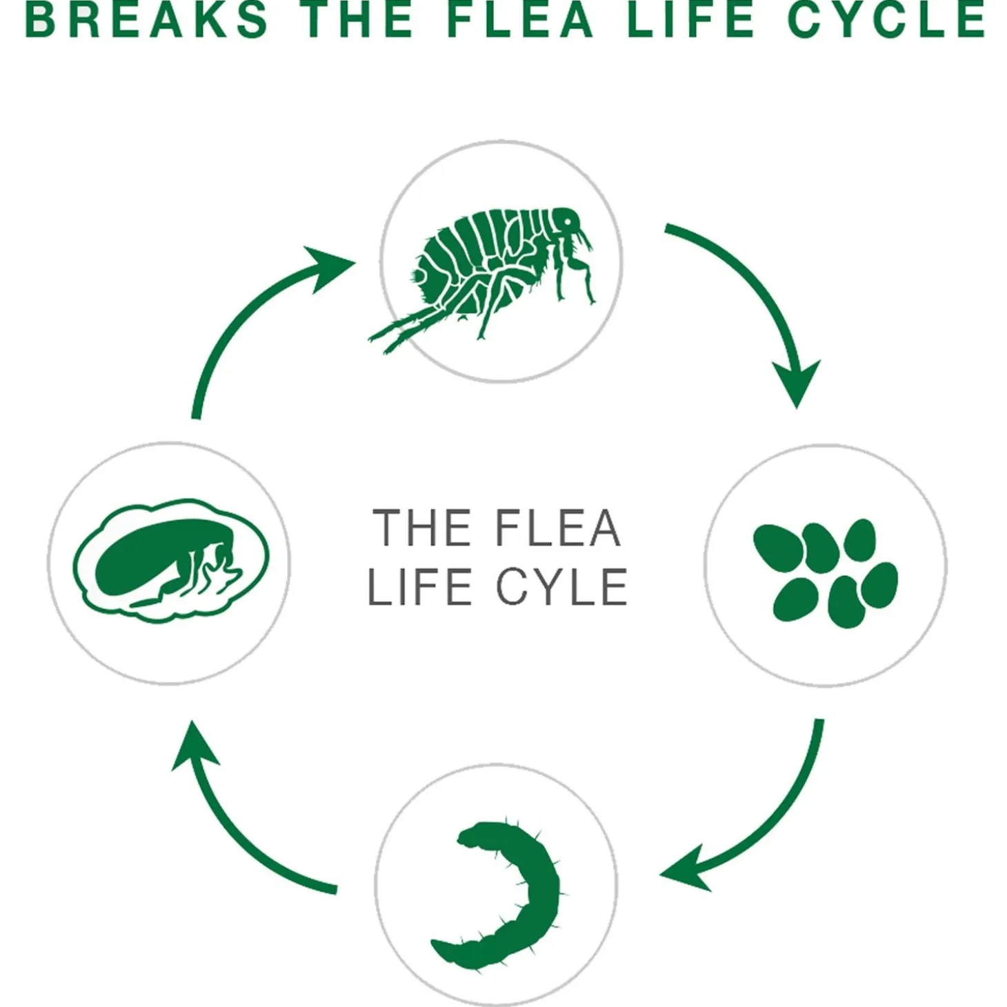 II Topical Large Cat Flea Treatment
