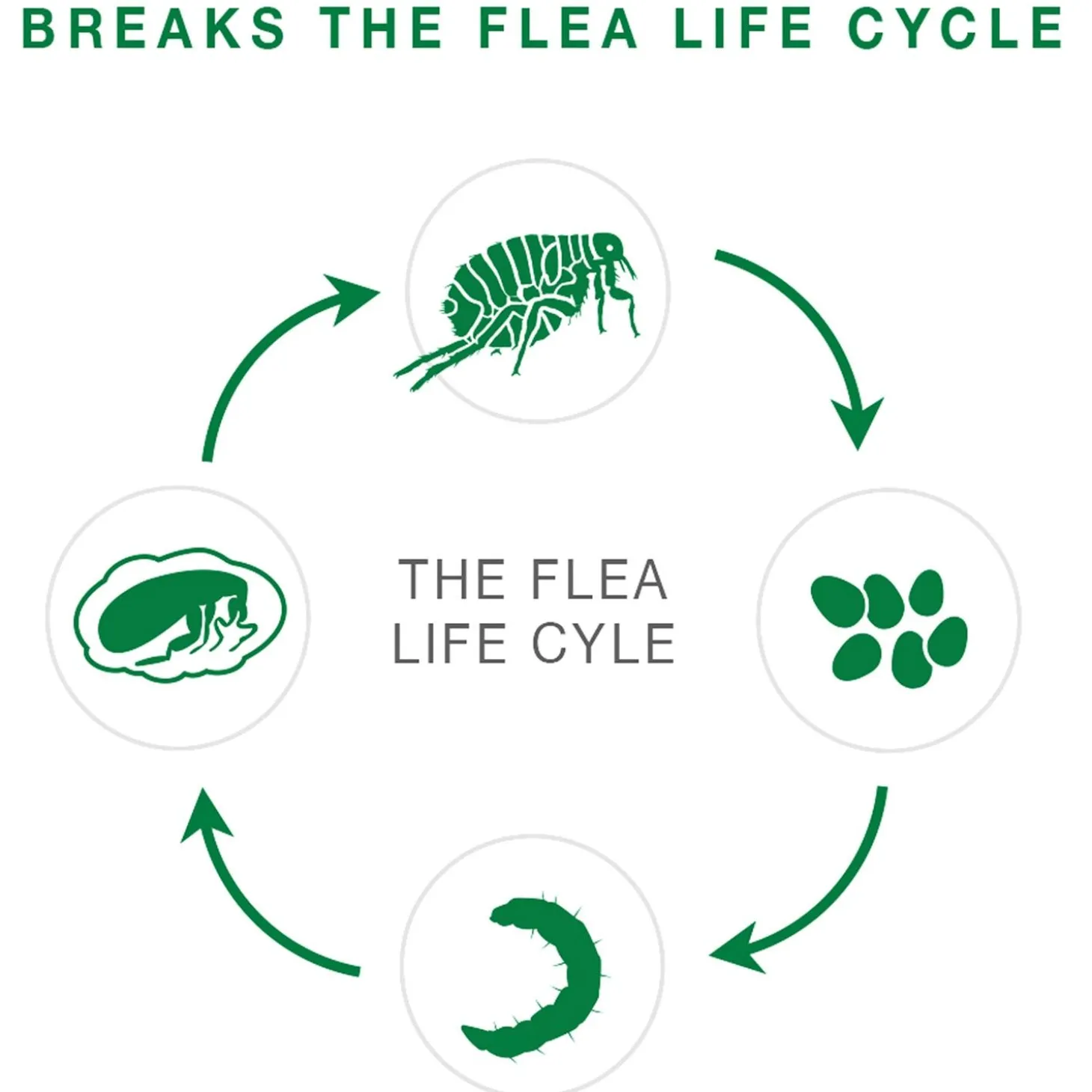 II Topical Large Dog Flea Treatment