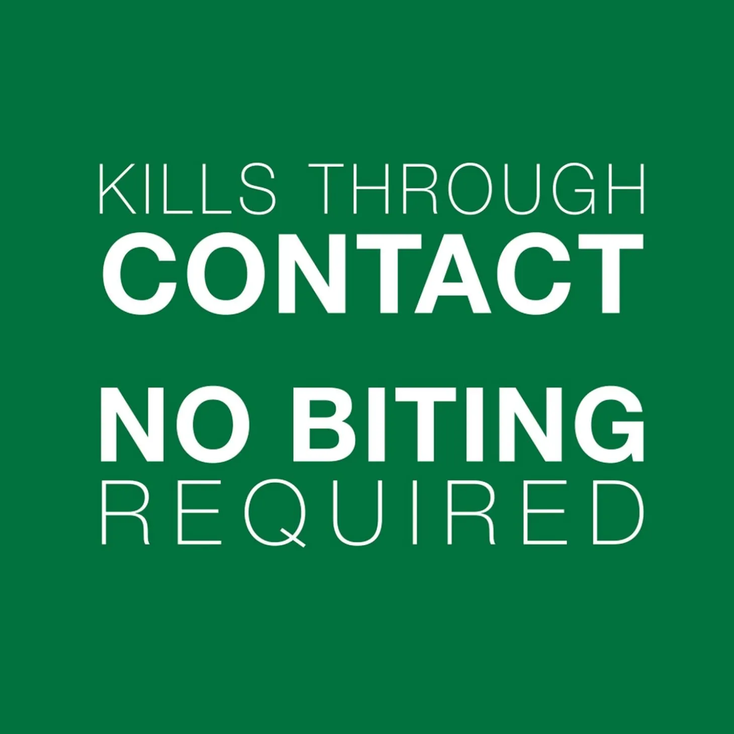 II Topical Large Dog Flea Treatment