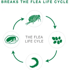 II Topical Medium Dog Flea Treatment
