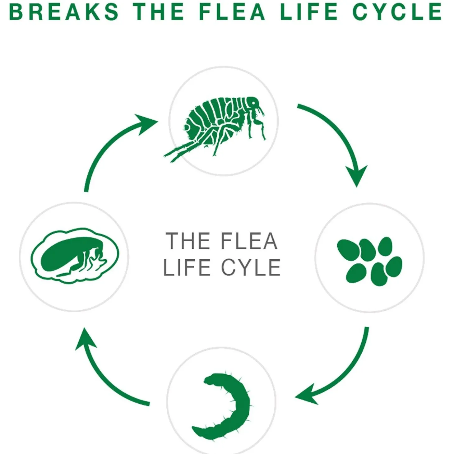 II Topical Small Dog Flea Treatment