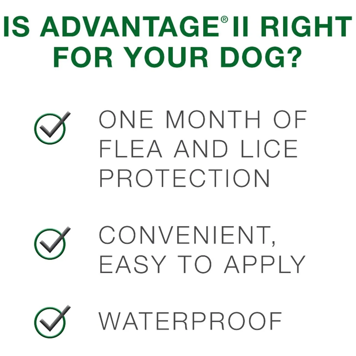 II Topical Small Dog Flea Treatment