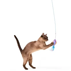 5-in-1 Fish Teaser Wand Set Cat Toy