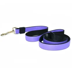 1in Nylon Purple Dog Leash