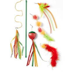5-in-1 Teaser Wand Set Cat Toy