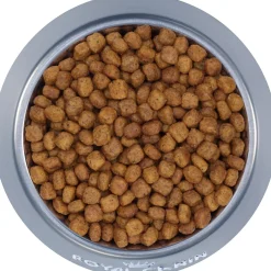 Indoor 7+ Adult Cat Food