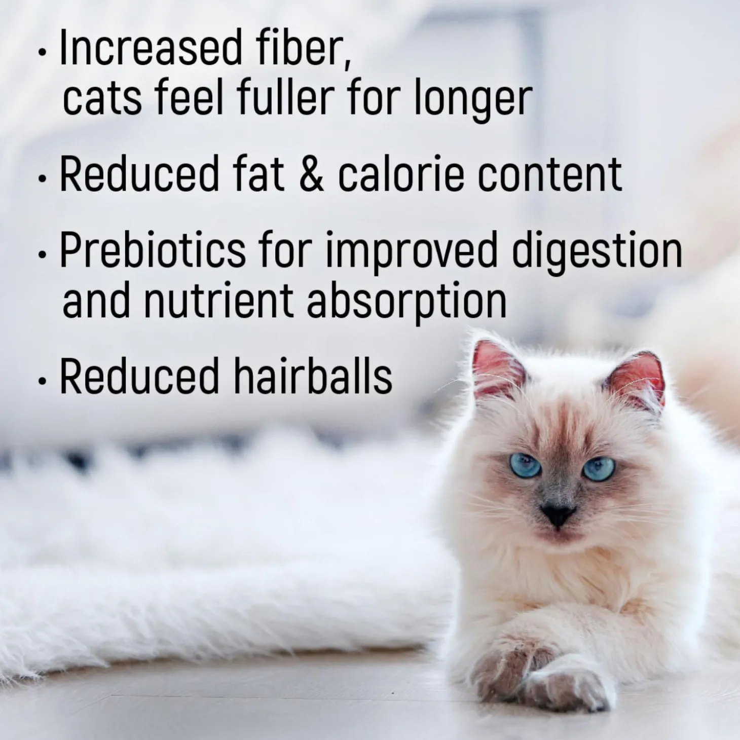 Indoor Chicken Meal & Oatmeal Recipe Cat Food