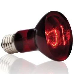 Infrared Basking R20 Bulb