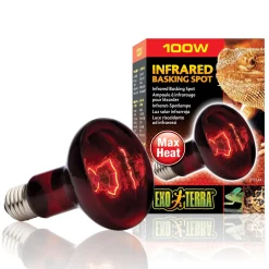 Infrared Basking Spot R25 Bulb