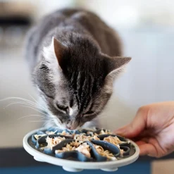 Interactive Grey Slow Feeder