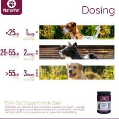 Intesti Care Pet Supplement
