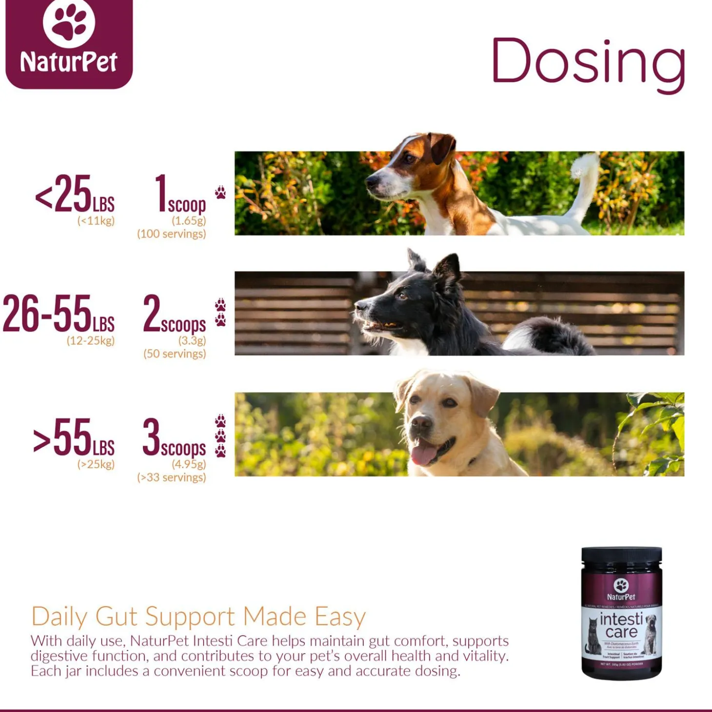 Intesti Care Pet Supplement