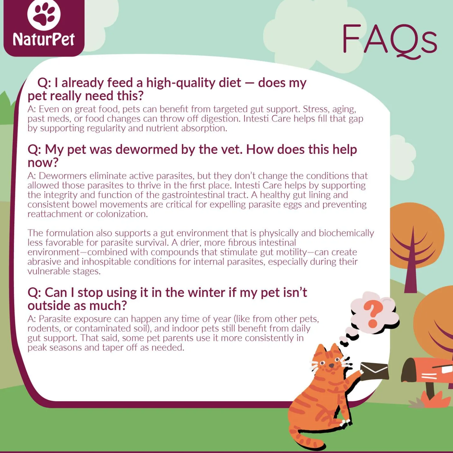 Intesti Care Pet Supplement