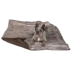 Itchy Witchy Blanket