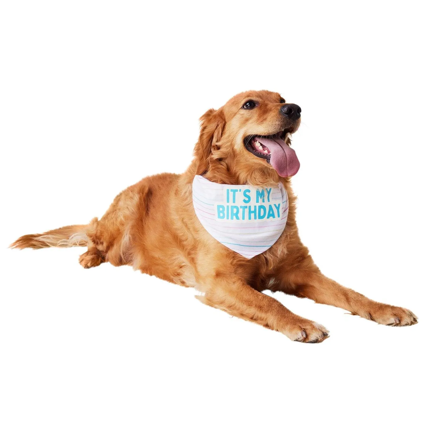 It's My Birthday Bandana