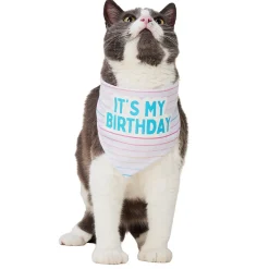 It's My Birthday Bandana