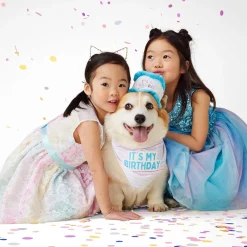 It's My Birthday Bandana