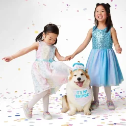 It's My Birthday Bandana