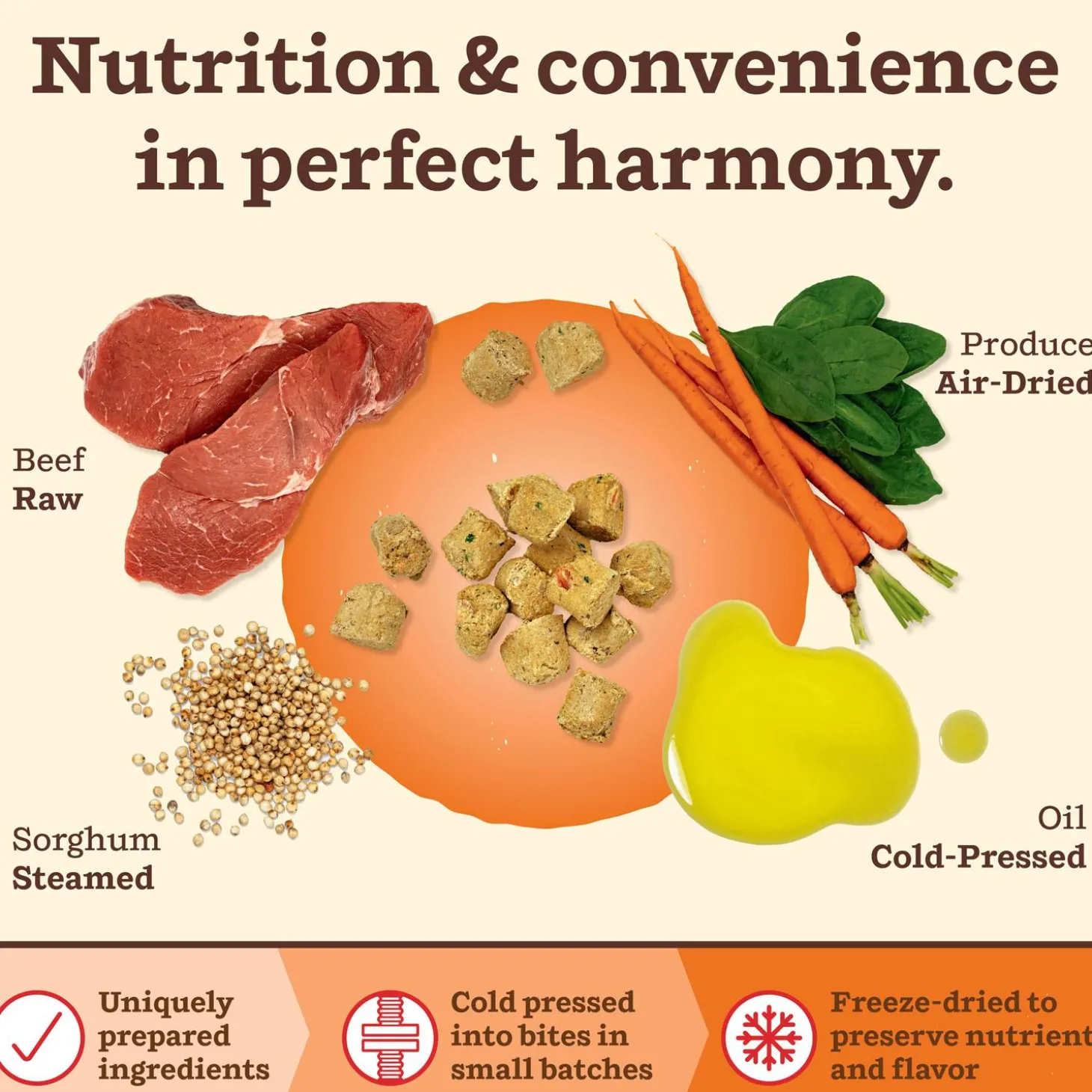 Kibble in the Raw Beef Recipe Adult Dog Food