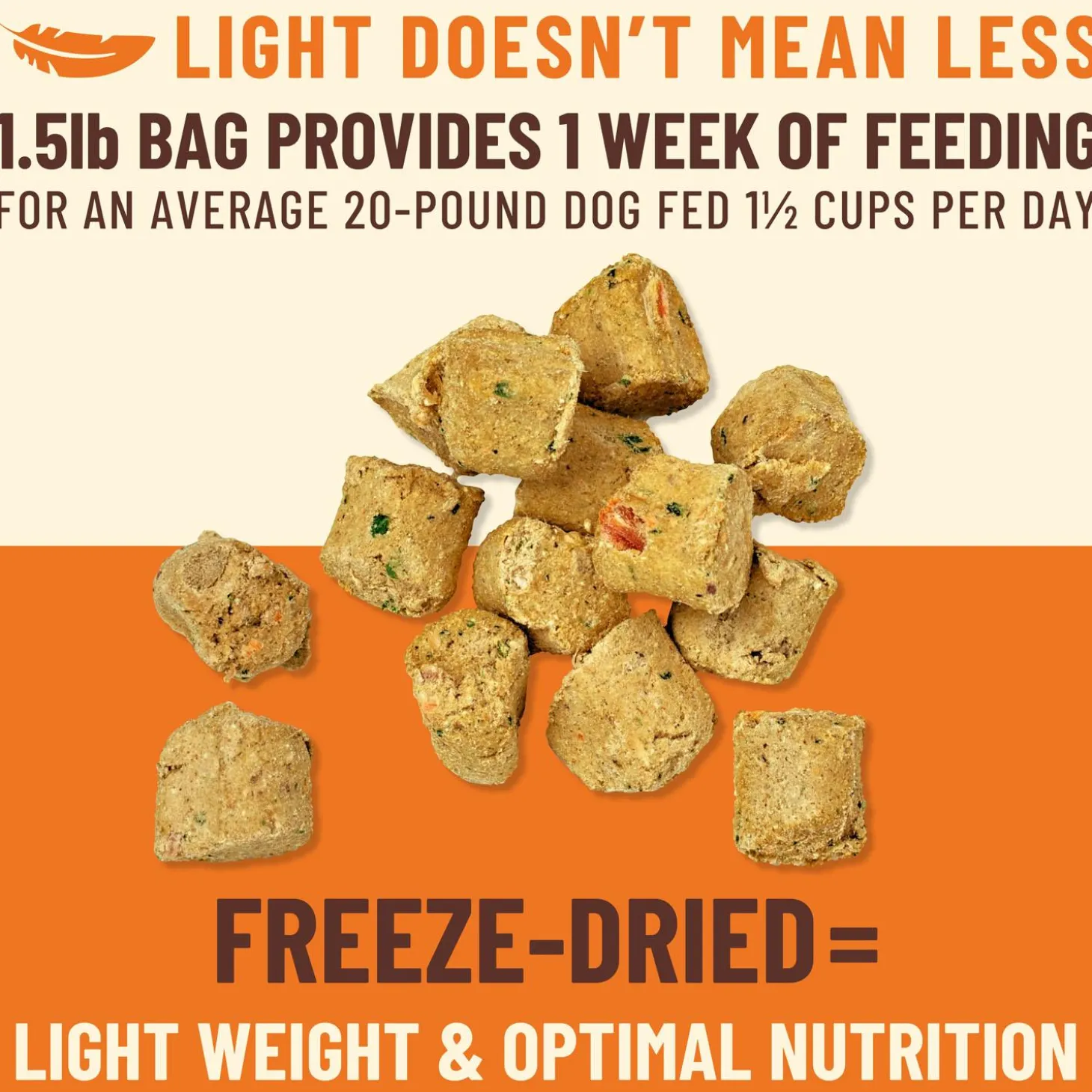 Kibble in the Raw Beef Recipe Adult Dog Food