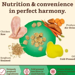 Kibble in the Raw Chicken Recipe Small Breed Adult Dog Food