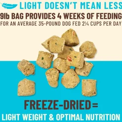 Kibble in the Raw Fish & Pork Recipe Adult Dog Food