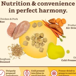 Kibble in the Raw Puppy Recipe Dog Food