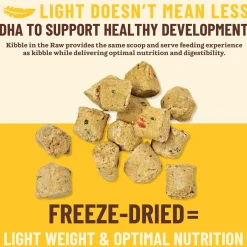 Kibble in the Raw Puppy Recipe Dog Food