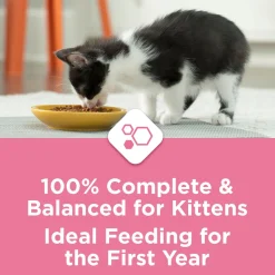 Kitten Chow Real Chicken Kitten Cat Food