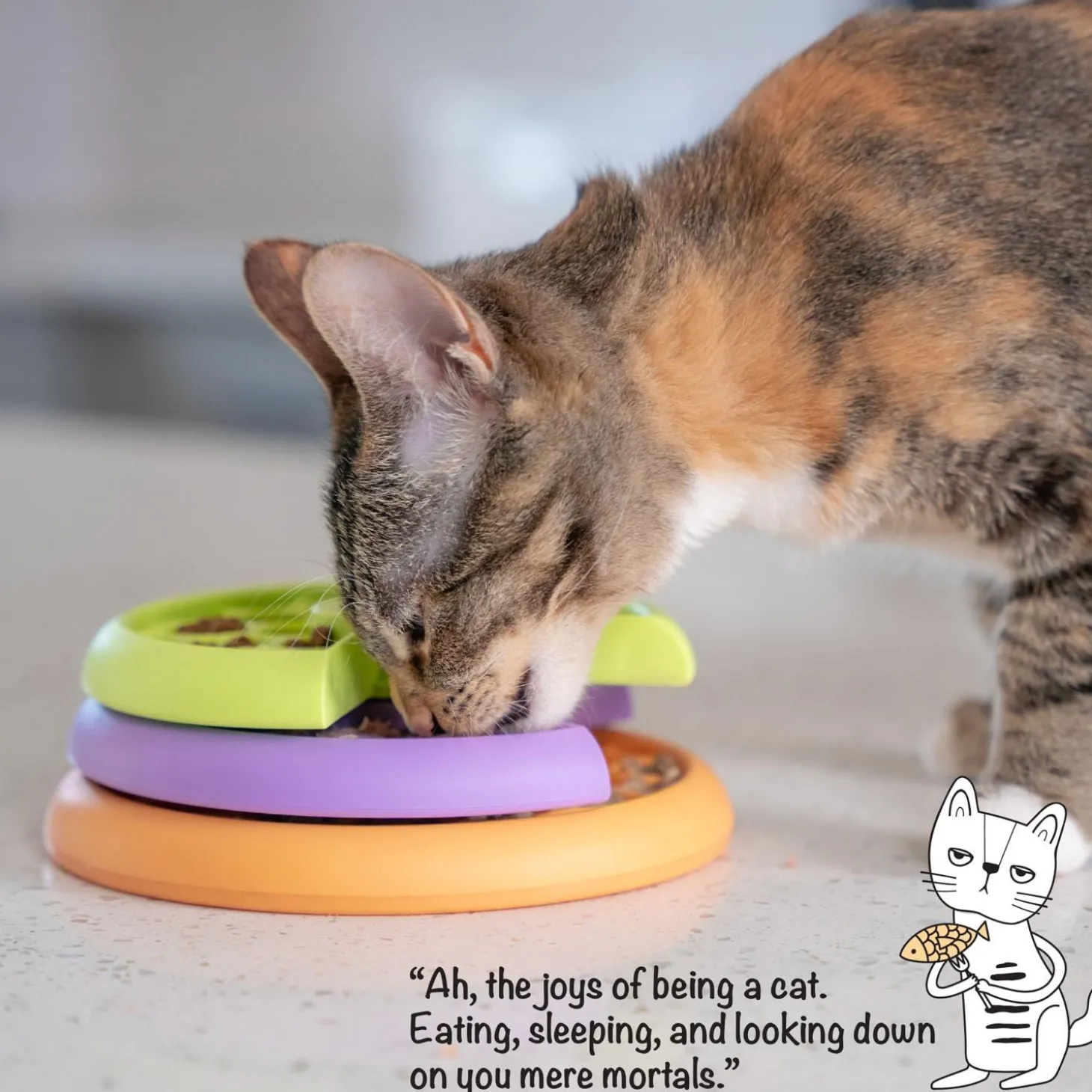 Kitty Lickin' Layers Cat Treat Puzzle