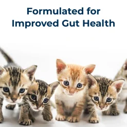 KMR Kitten Milk Replacer Liquid