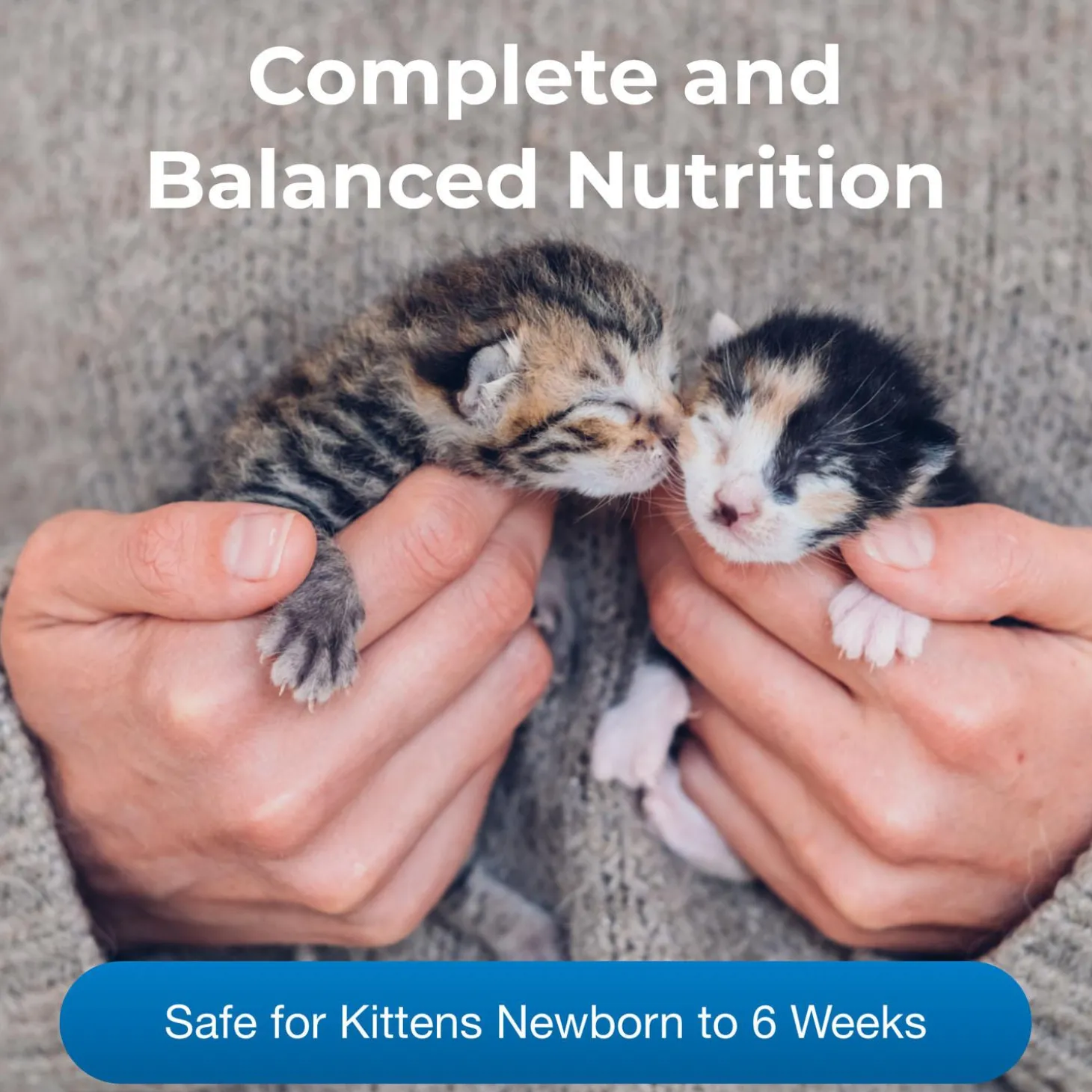 KMR Kitten Milk Replacer Powder