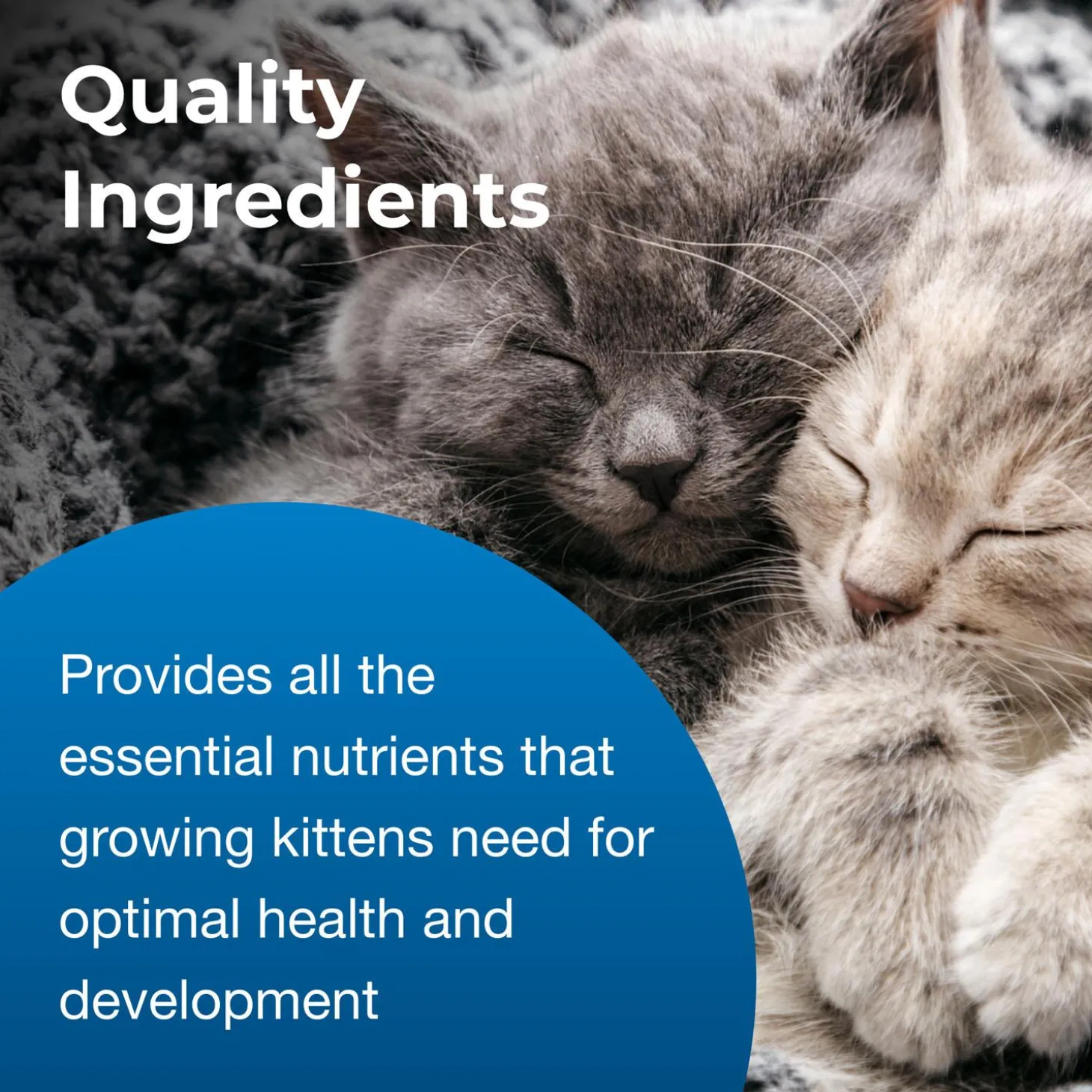KMR Kitten Milk Replacer Powder