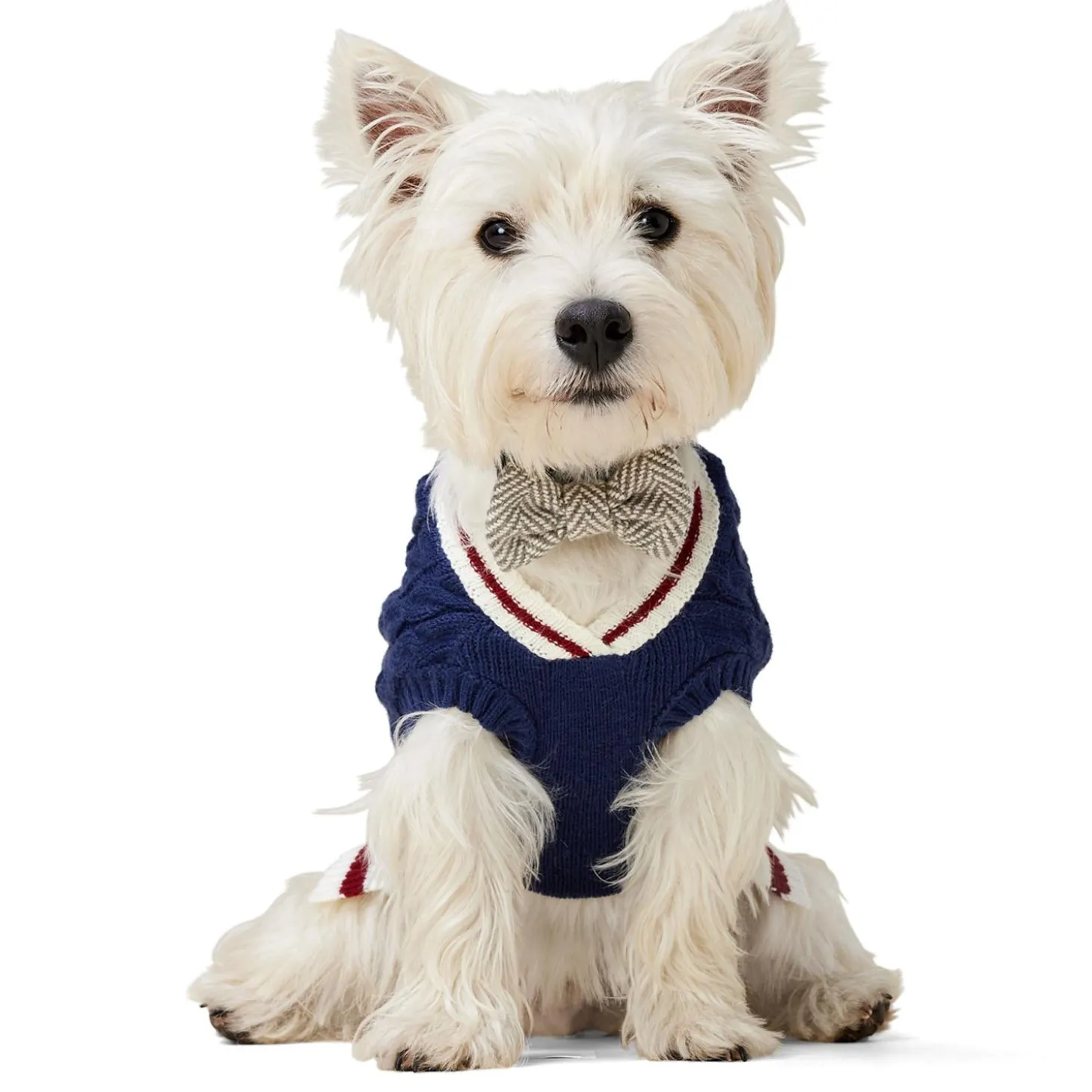 Lacrosse Knit Navy Sweater