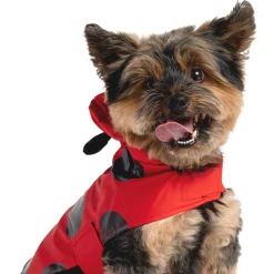 Ladybug Red Raincoat
