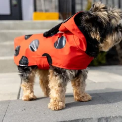Ladybug Red Raincoat