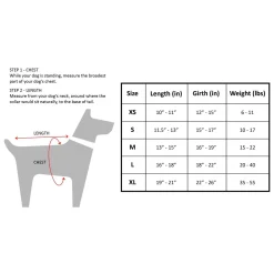 Ladybug Red Raincoat