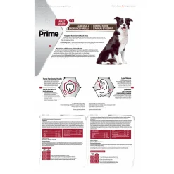 Lamb Meal & Brown Rice Formula Adult Dog Food