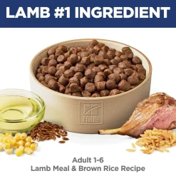 Lamb Meal & Brown Rice Recipe Adult Dog Food